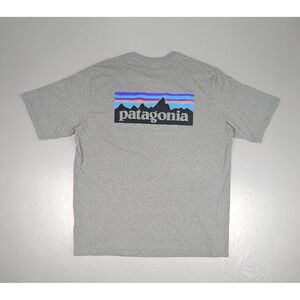 Patagonia T-Shirt Mens Large Gray Classic Responsibili-tee Fitzroy ShortSleeve
